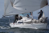 white lightning gbr4327 whyw25 sun 750_3729